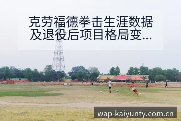 克劳福德拳击生涯数据及退役后项目格局变化签表分析 - 开云APP